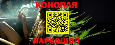 прущие грибы Пыть-Ях